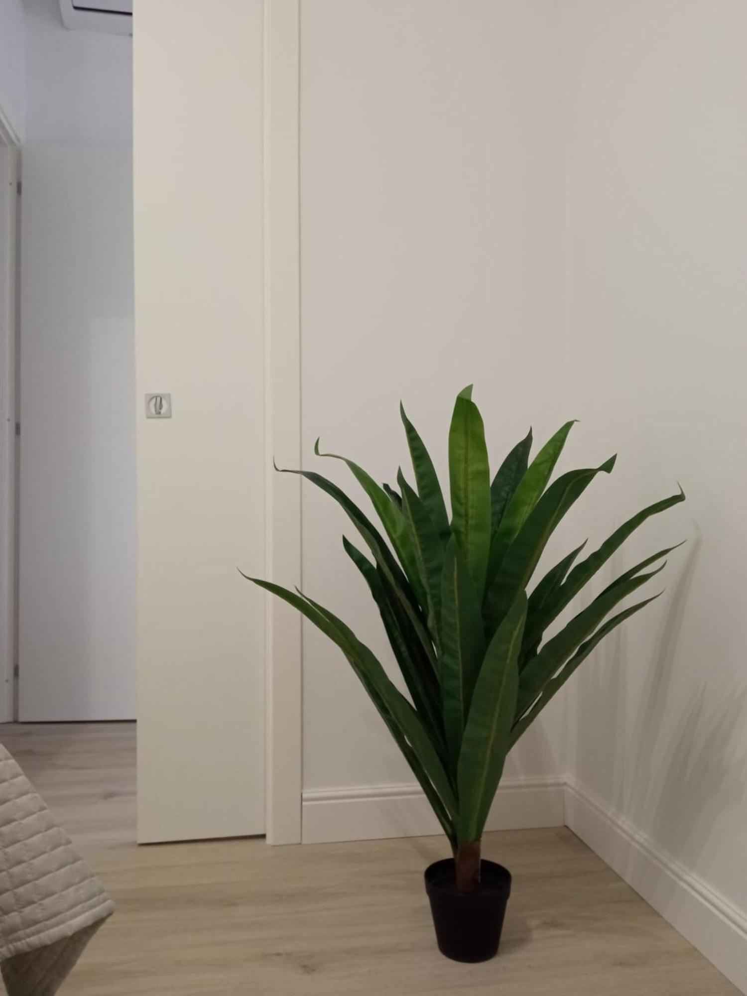 La Casa Di Ary Alle Pendici Dell'Etna Nicolosi Extérieur photo